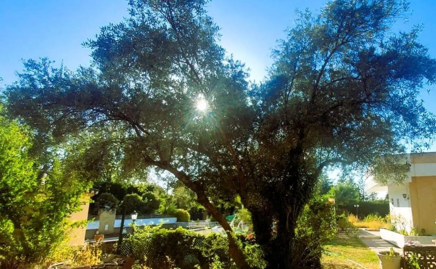 Las Arboledas Alojamiento Rural Baeza España