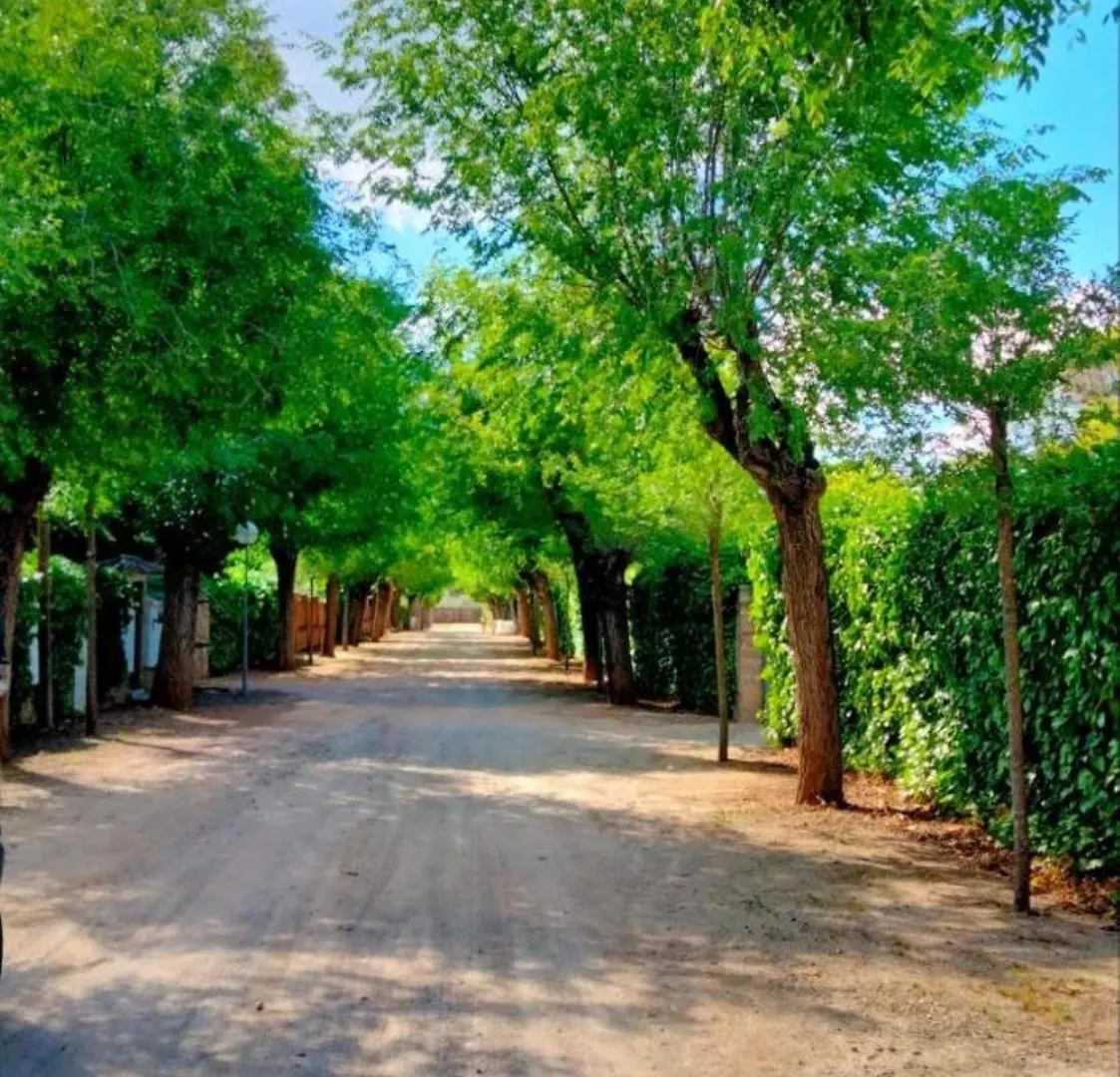 Las Arboledas Alojamiento Rural Baeza 0*,  España